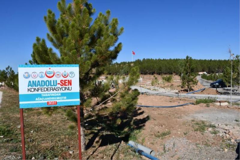 Meyve fidanları toprakla buluşturuldu