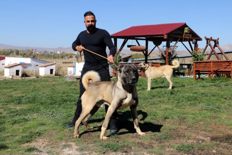 Yurtdışından talep yağıyor, lüks otomobil fiyatına alıcı buluyor