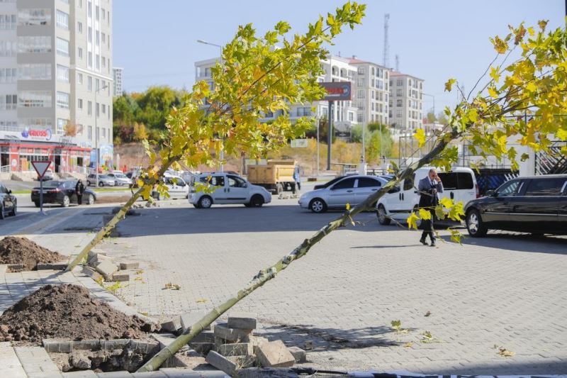 Başkan Bilgin, 5 bin ağacı toprakla buluşturdu