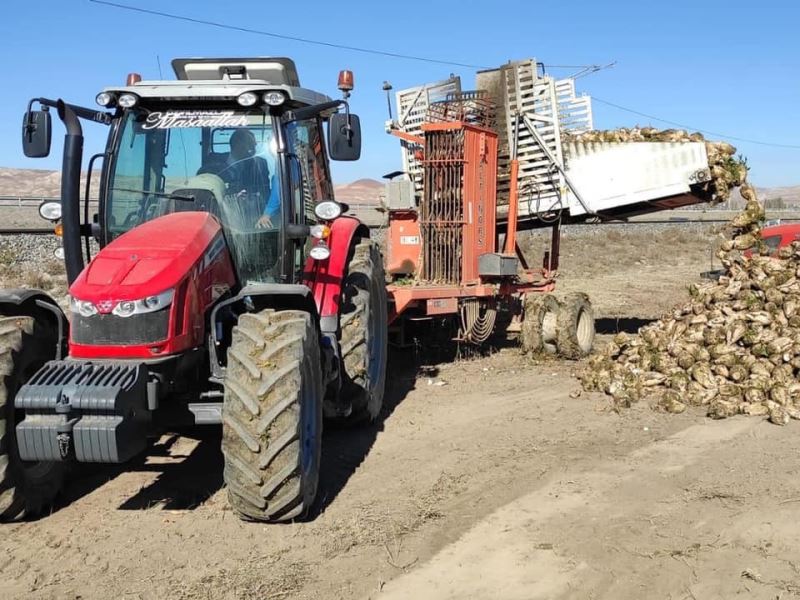 Şeker pancarı rekoltesinin 1 milyon tonu geçmesi bekleniyor
