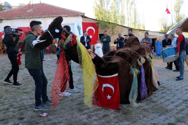 Deve oyunu halen bozkırın en gözde düğün eğlencesi