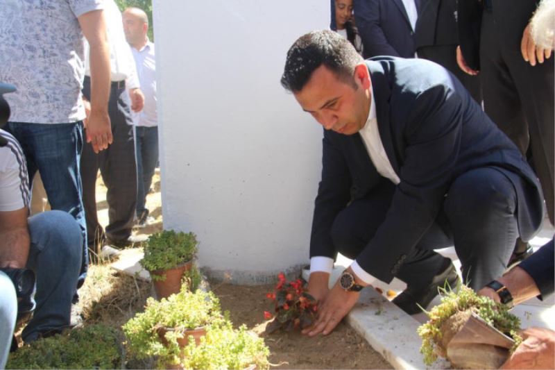 Kıbrıs Harekatı